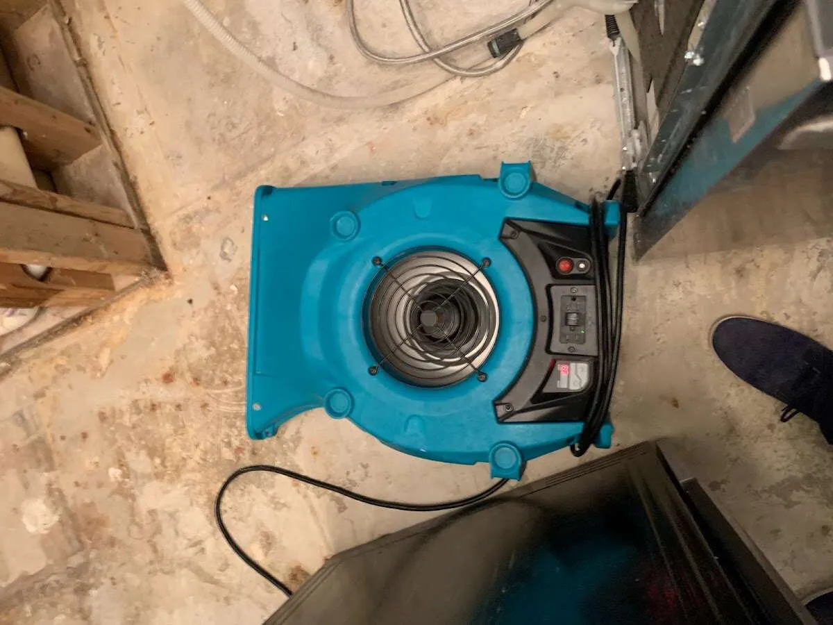 Air mover drying equipment for Mold Remediation & Removal in Hattiesburg