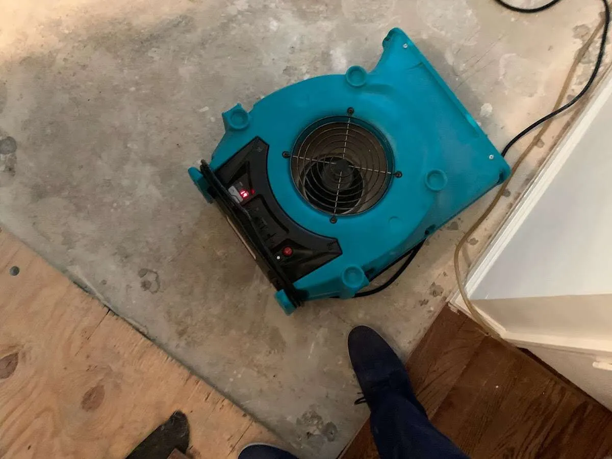 Air mover drying subfloor during Commercial Water Damage Restoration in Hattiesburg